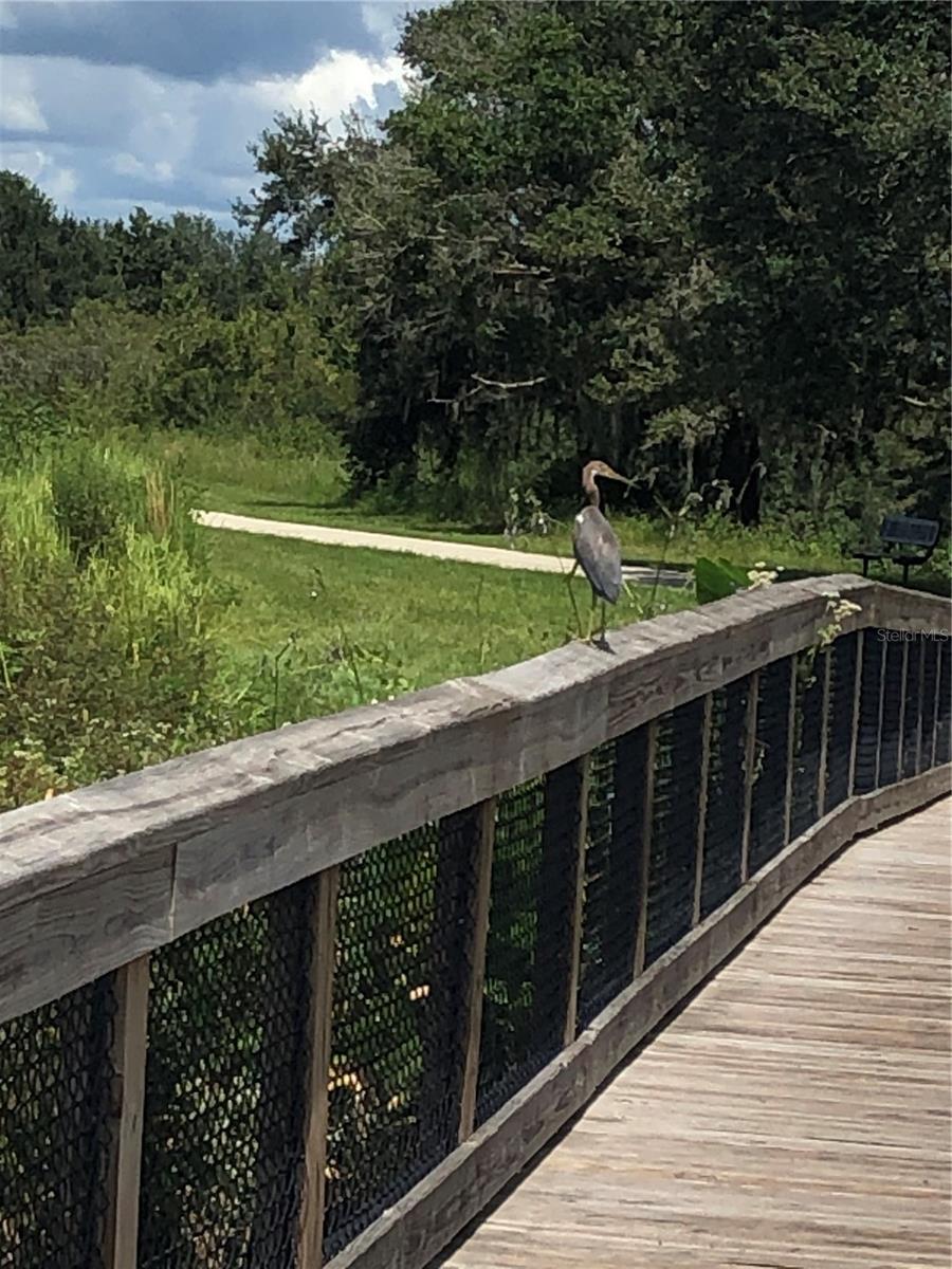Along The Trails