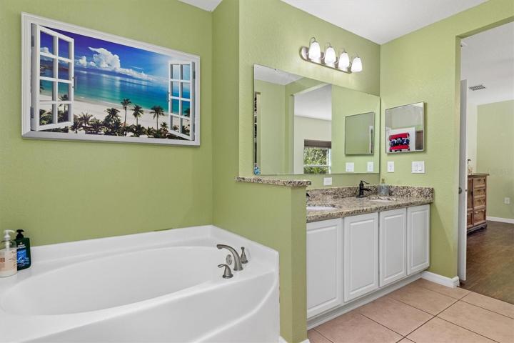 Master tub and double vanity sinks