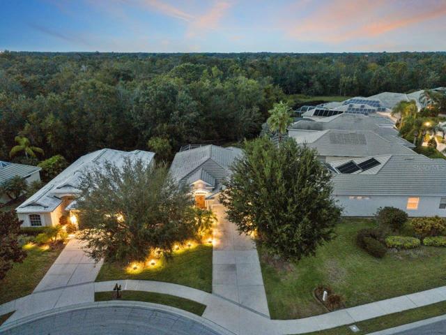 Aerial of the front elevation showing the large trees, landscape lighting, and oversized driveway.