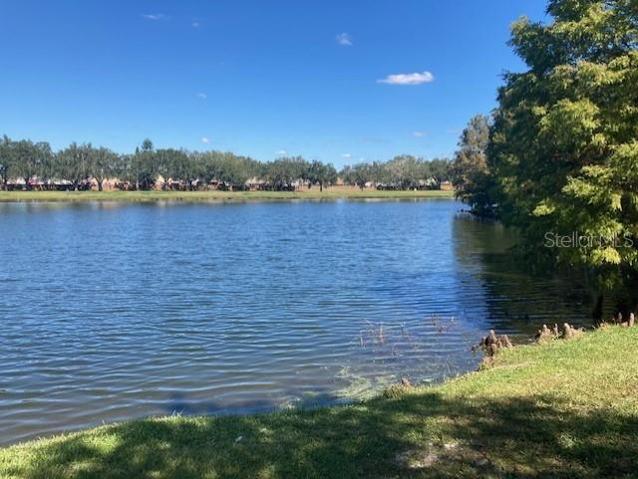 COMMUNITY POND