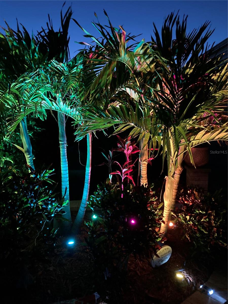 Nightscaping