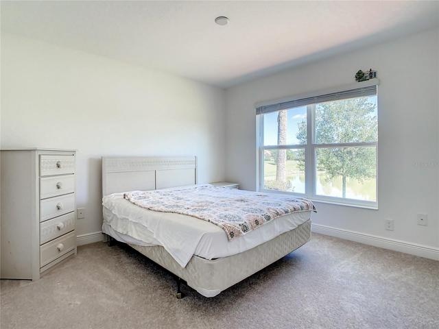 1 of 3 spare bedrooms.