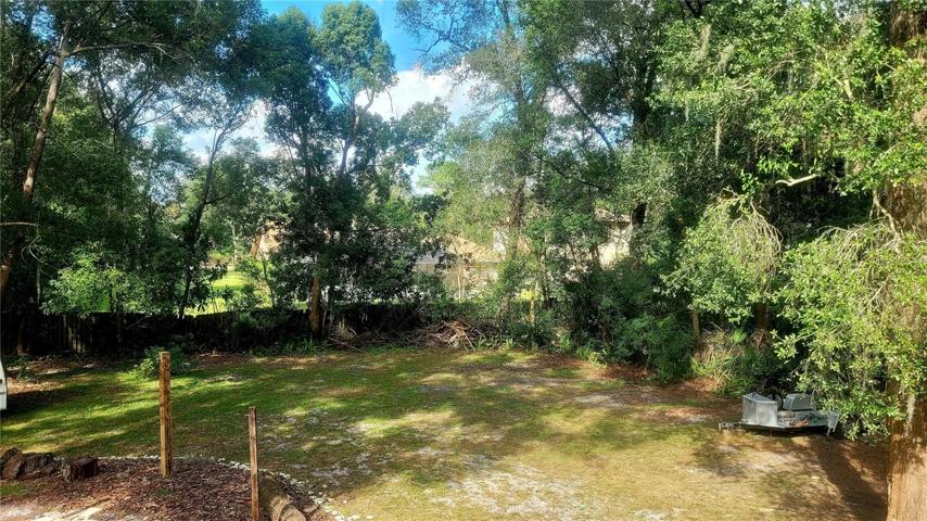 back yard