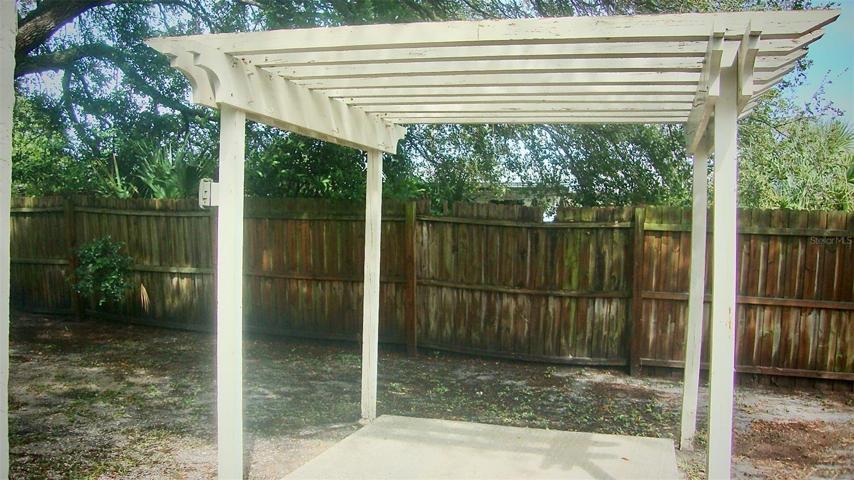 back yard