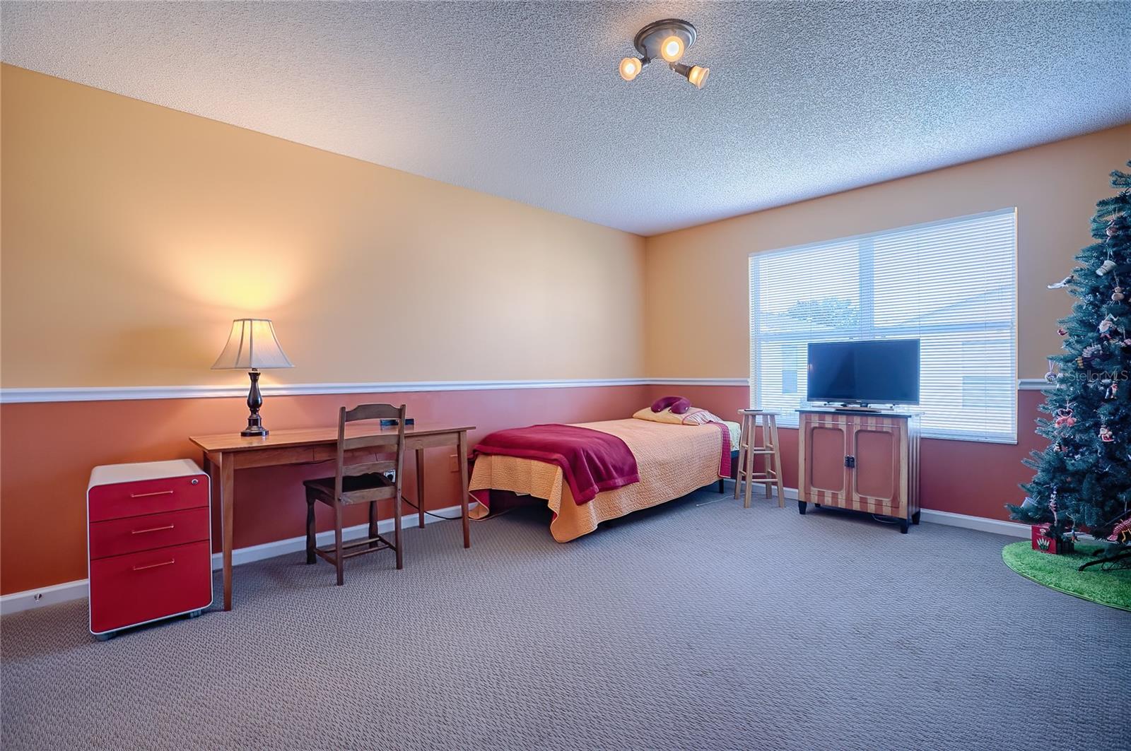 SPACIOUS BEDROOM