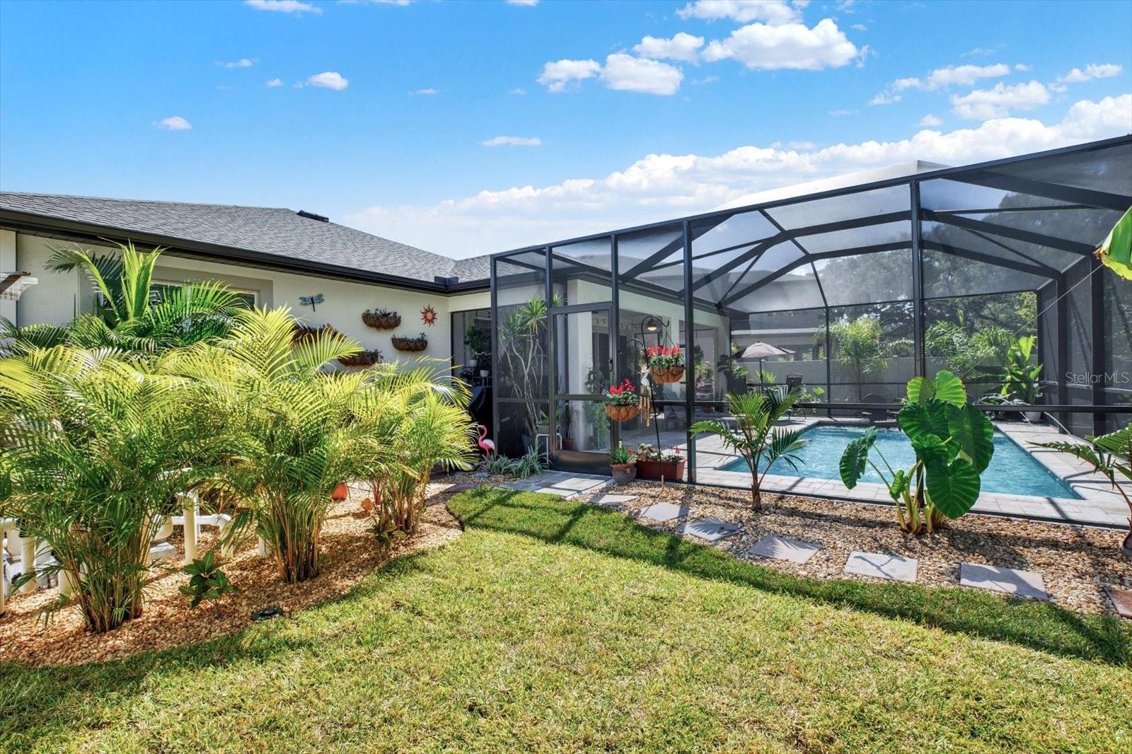 Backyard