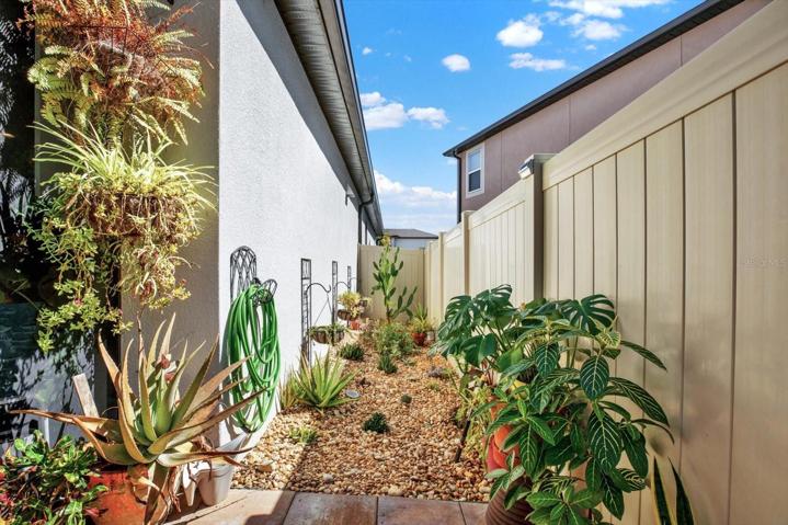 Succulent Garden