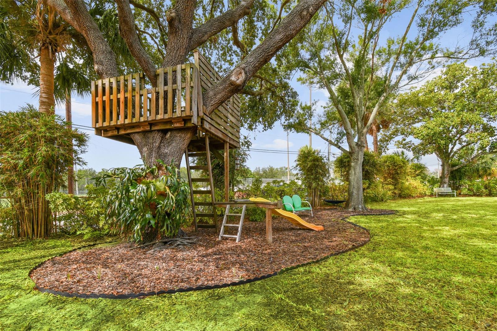 Have your own tree fort!