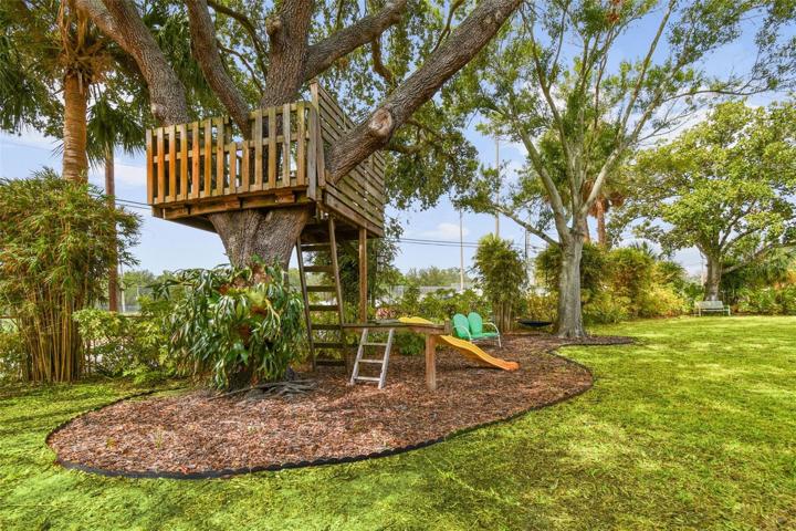 Have your own tree fort!