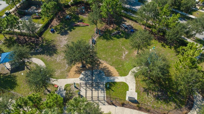 Main Community Amenity Center