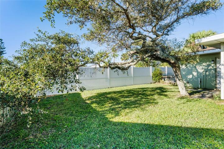 Back yard with mature tree