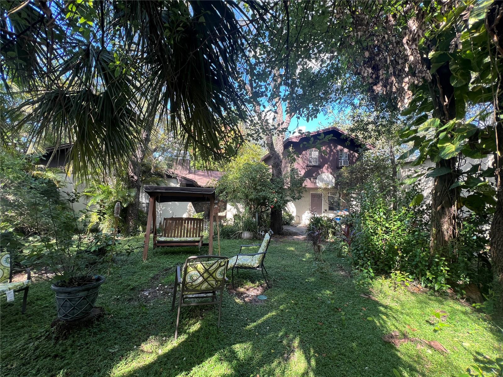 Front yard