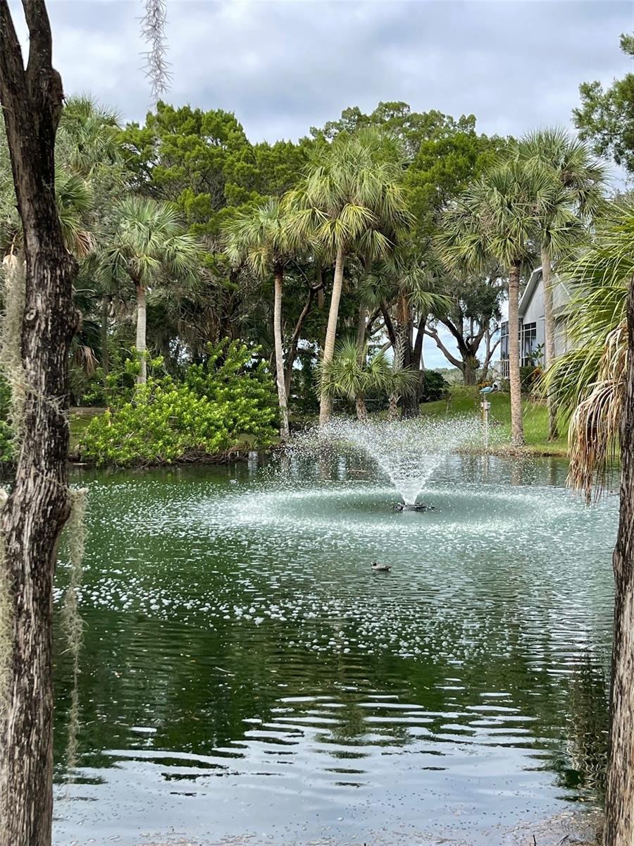 Storm Water Retention