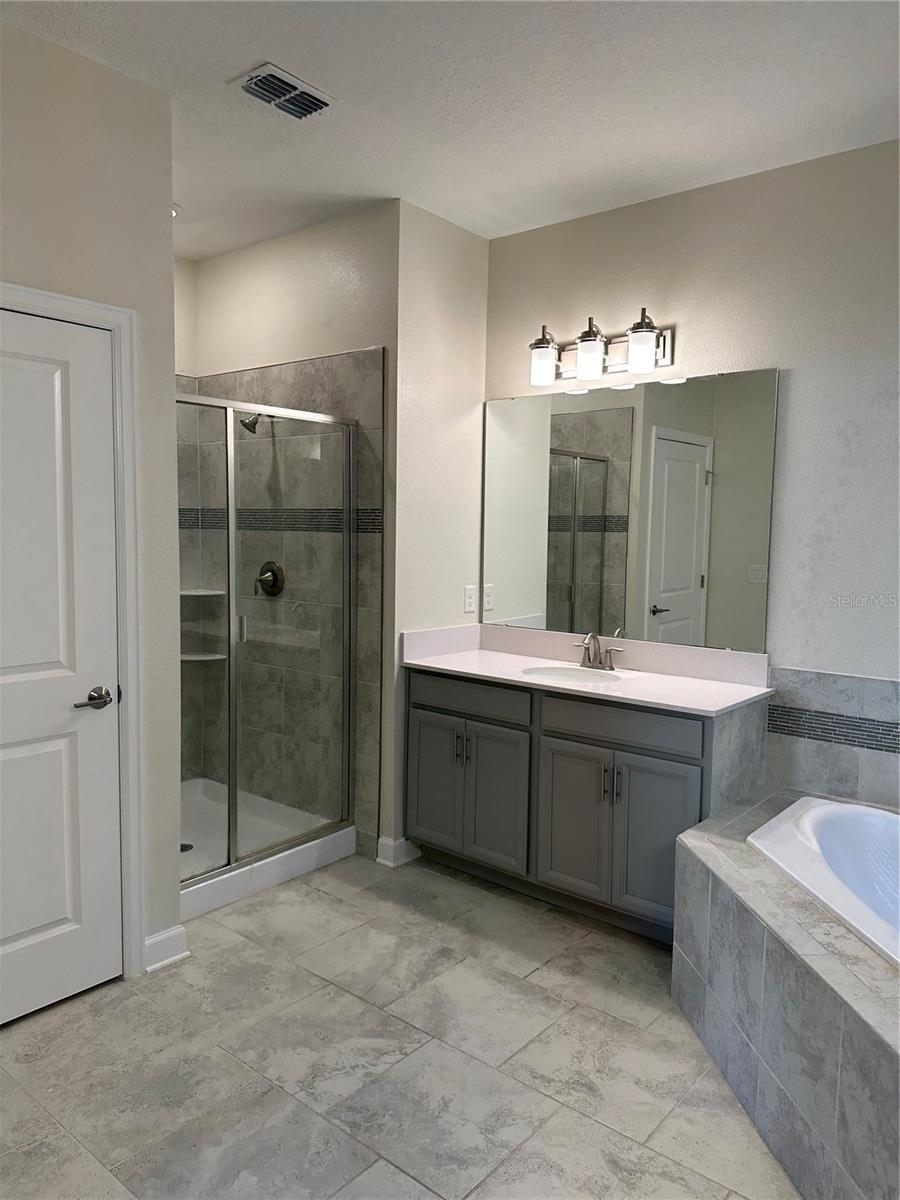 Downstairs master Bath