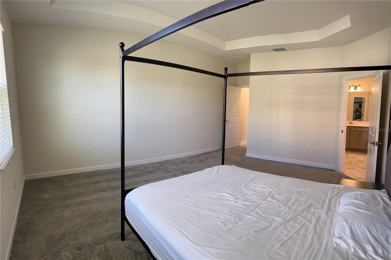 Downstairs Master Bedroom