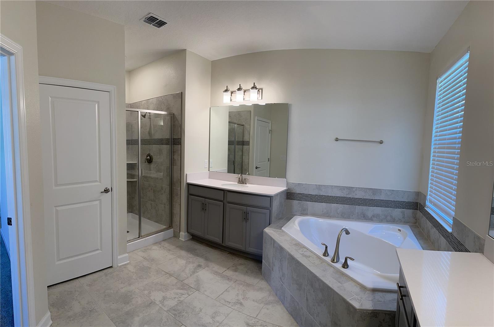 Downstairs master Bath