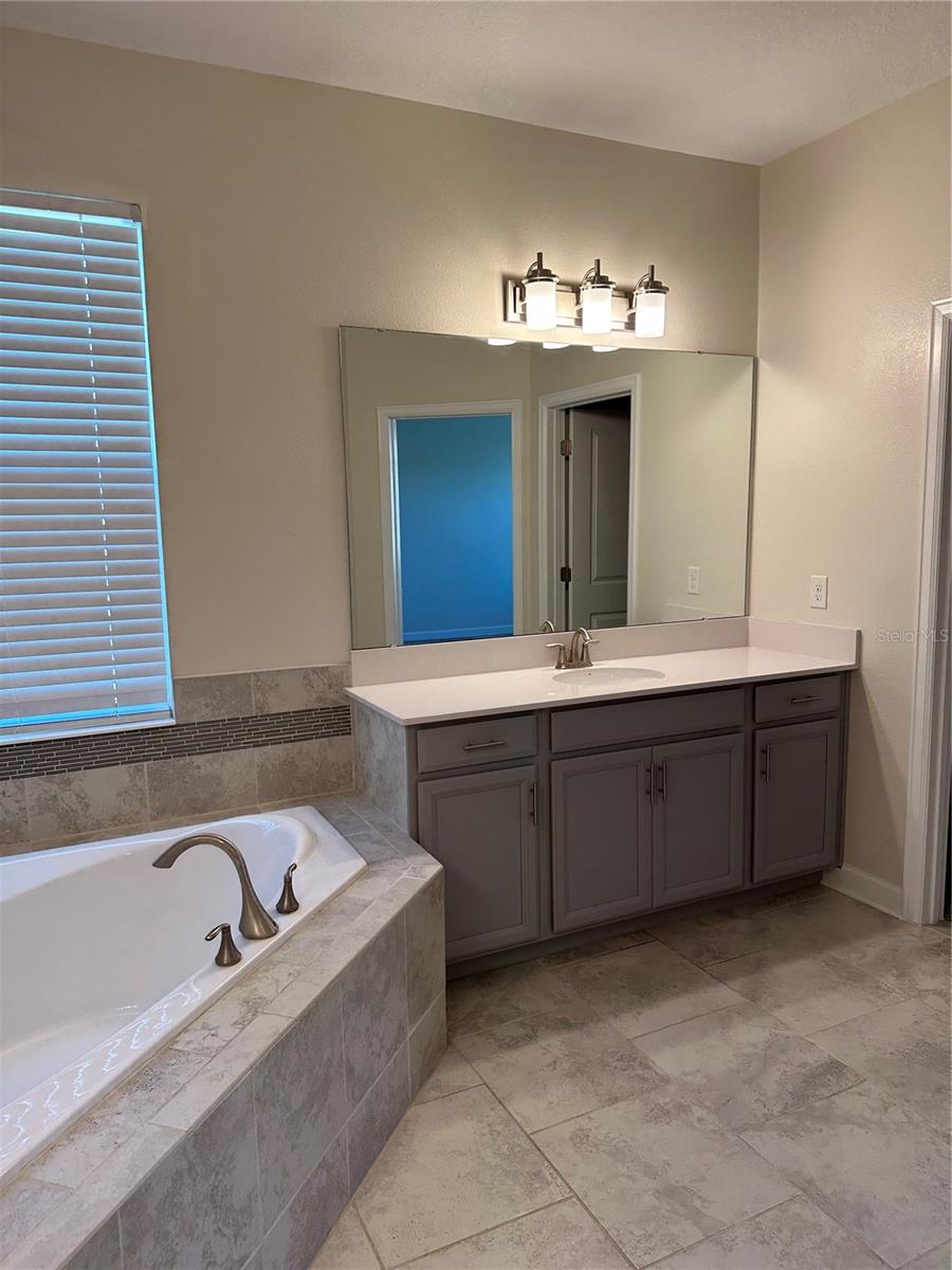 Downstairs master Bath