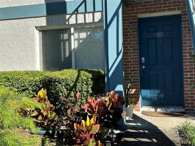 Front door  33613 Tampa Florida
