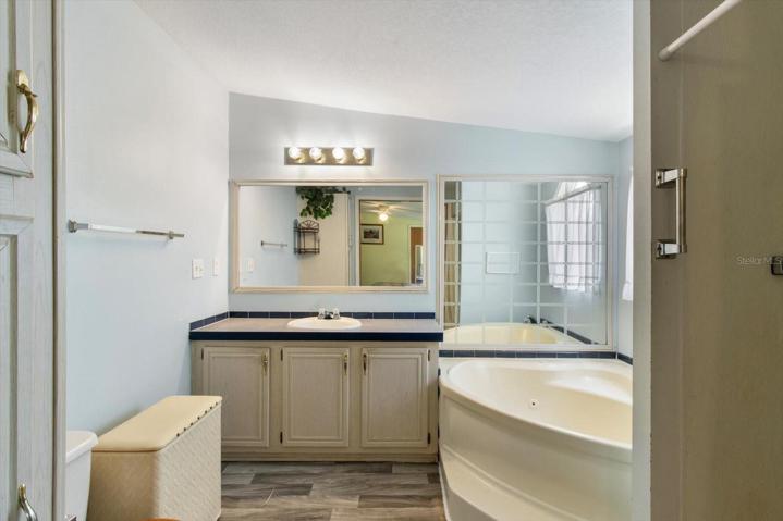 Primary Bedroom en-suite Bathroom with large soaking tub and separate shower with new flooring