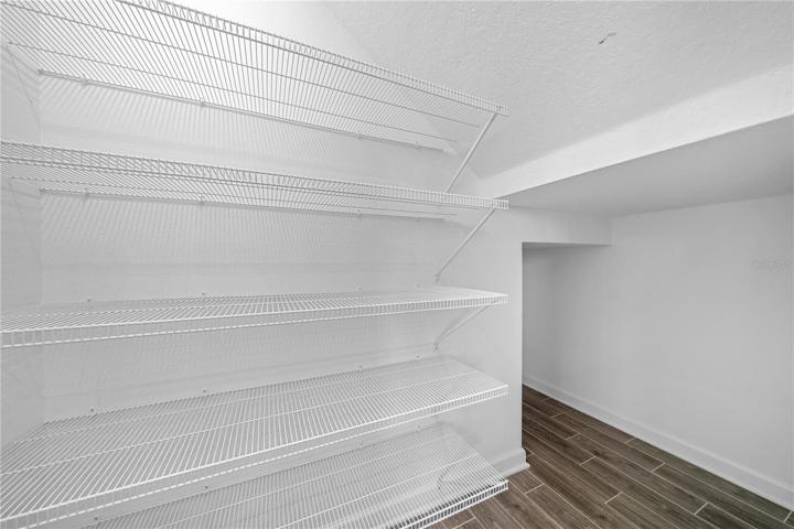 Huge walk-in pantry with under-the-stair storage space