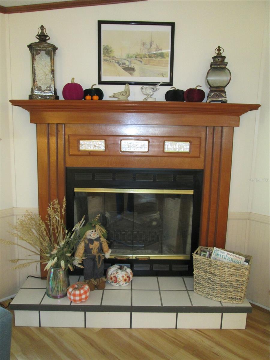 Family room fireplace
