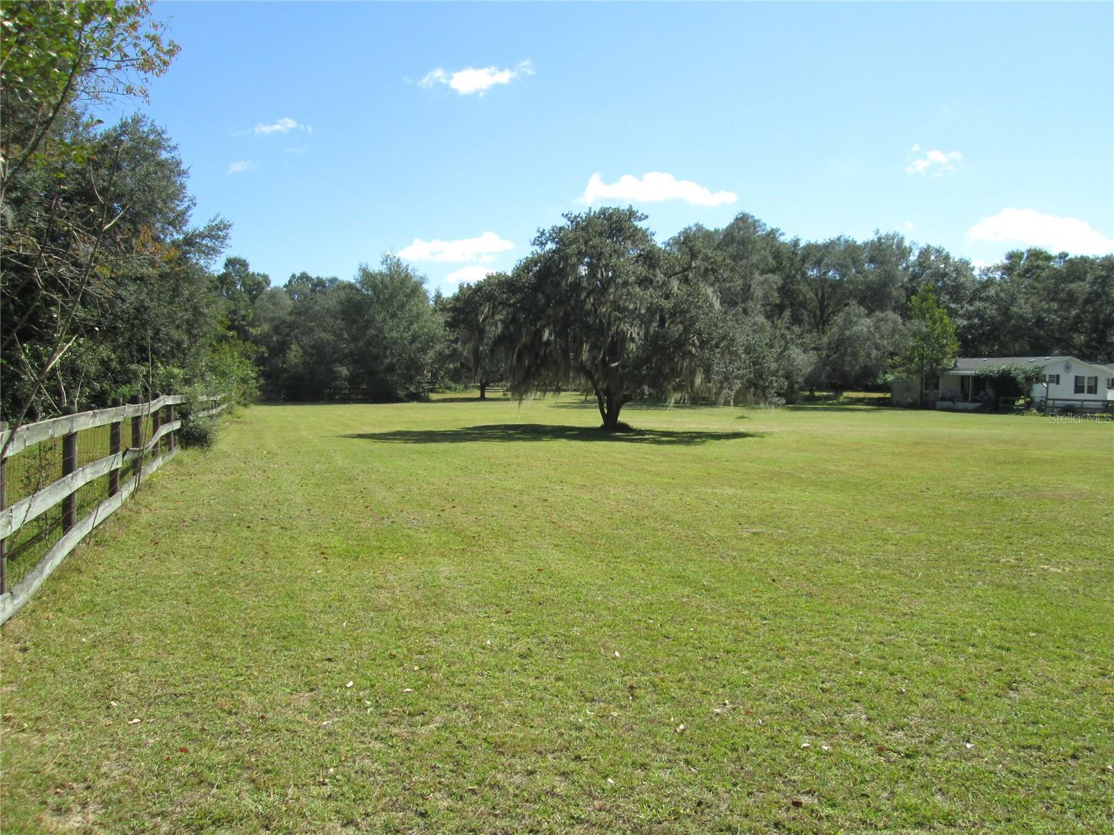 Pasture