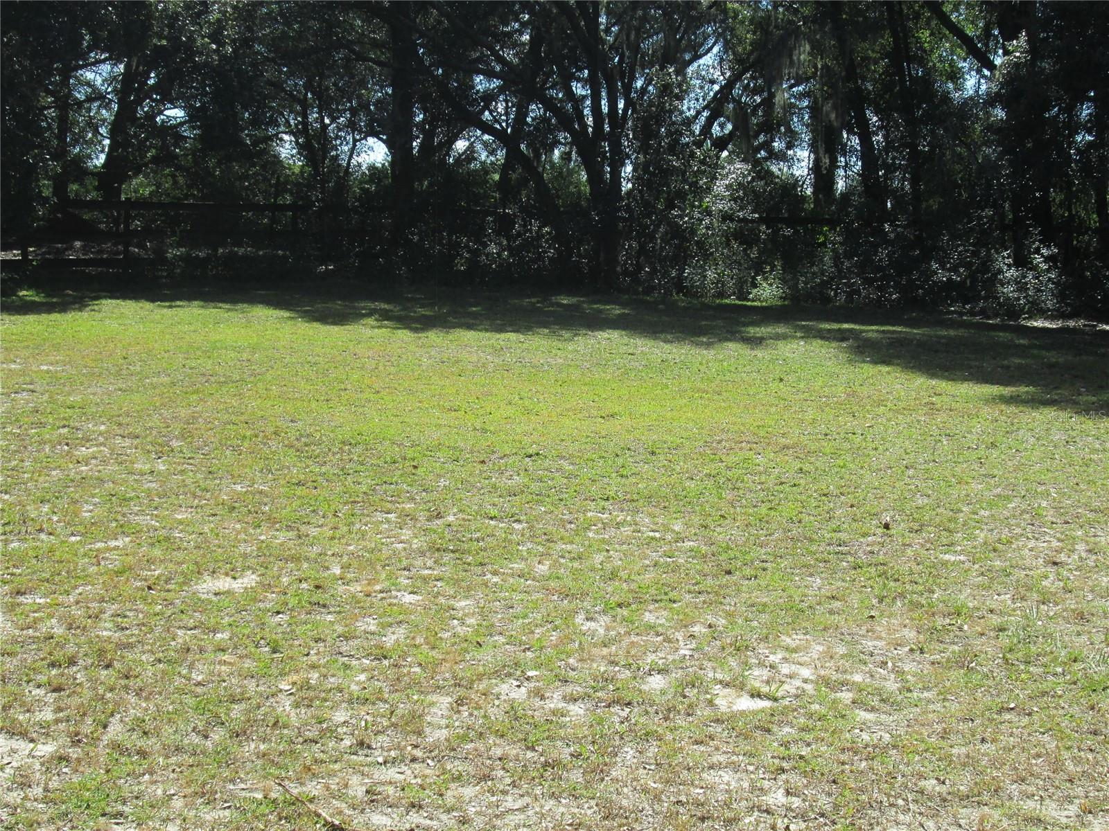 Pasture
