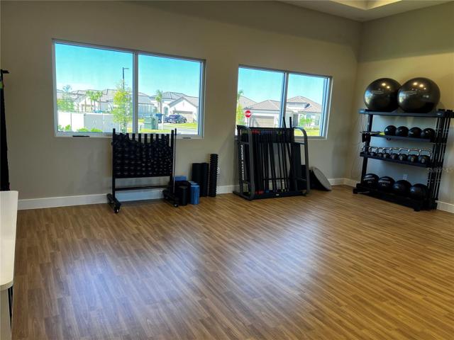 Movement Studio