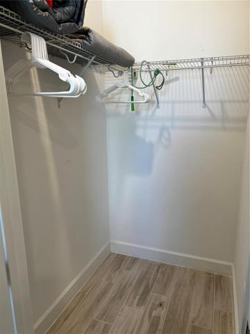 Guest Bedroom walk in closet
