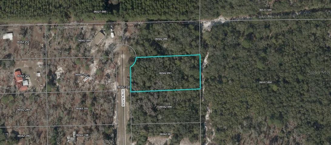 .99 ACRES ADAMS BEACH OAKS SUB. LOT 31 BLK A