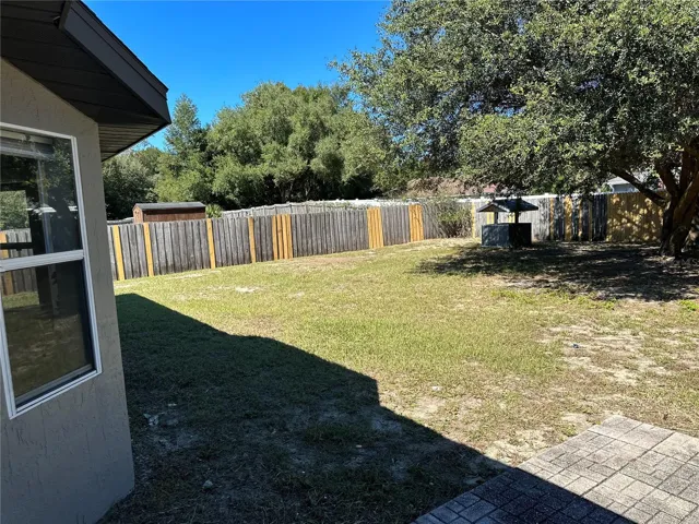 View of backyard