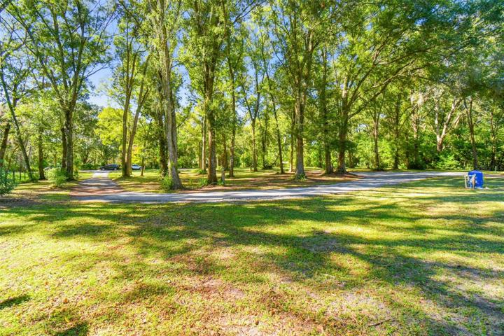 Front yard, looking towards the road.
