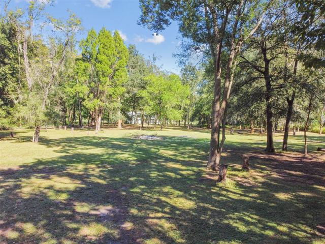 Cleared back yard