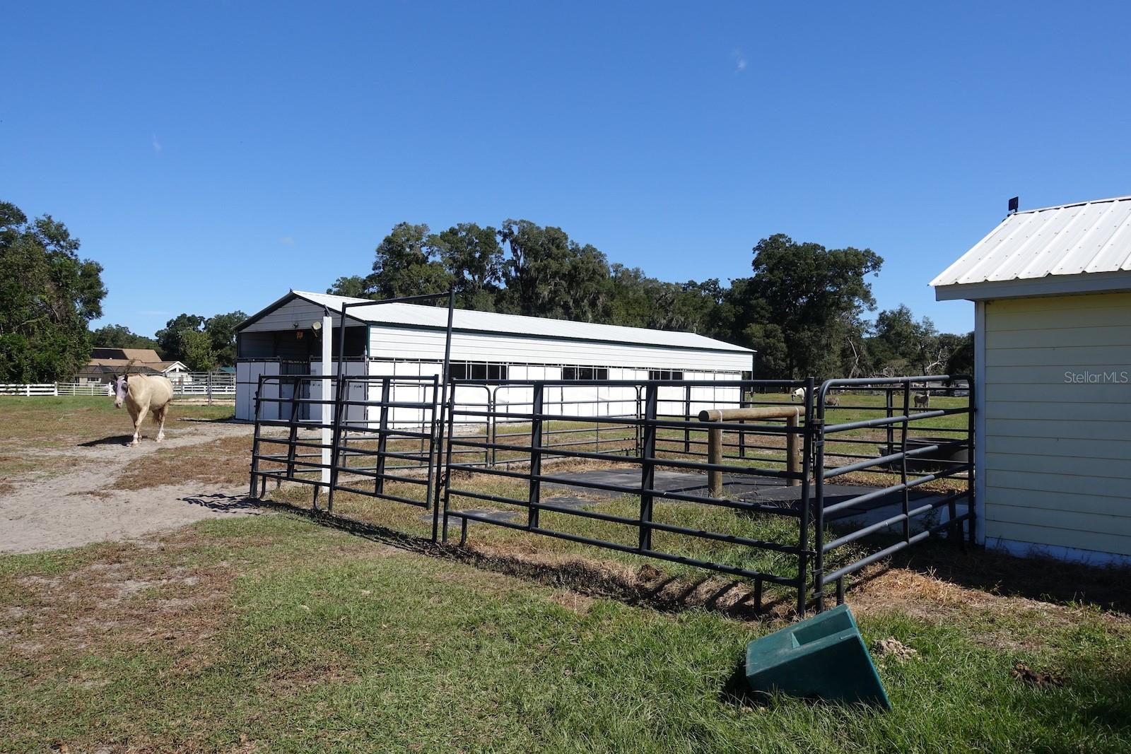 FARM