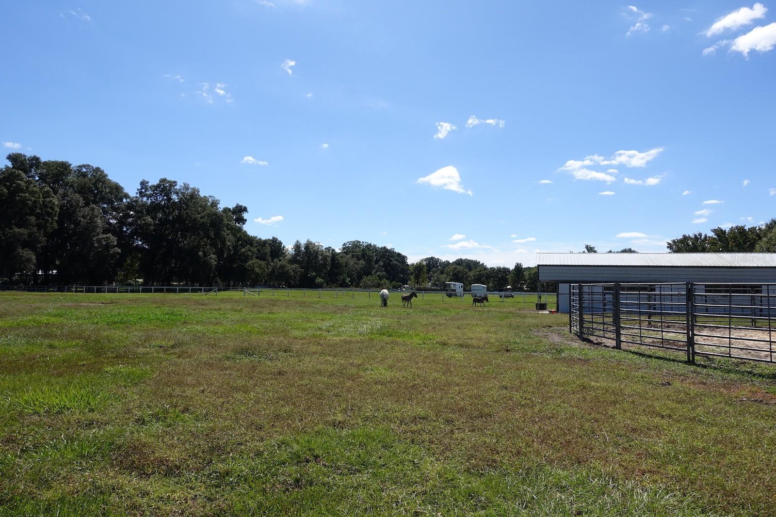PASTURE