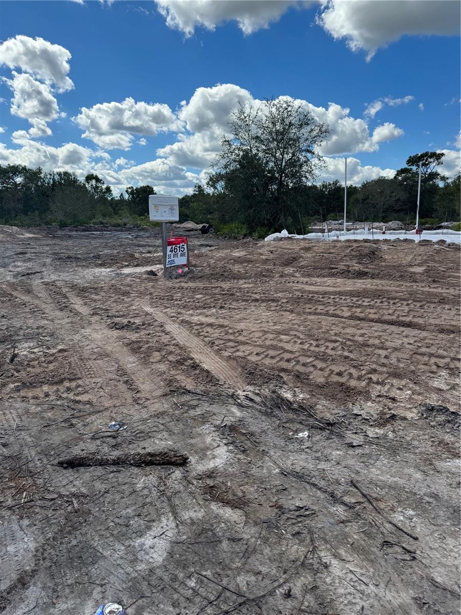SITE