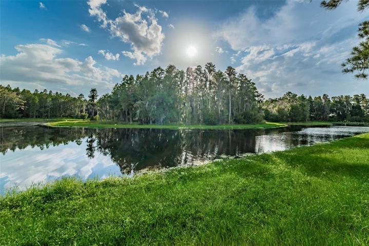 Pond