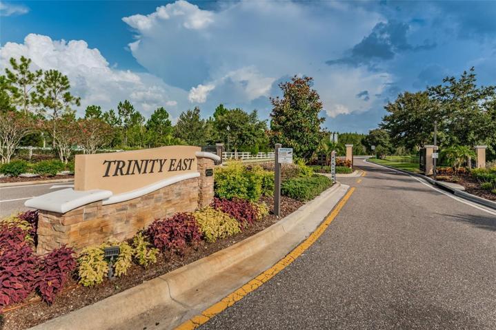 Neighborhood Entrance
