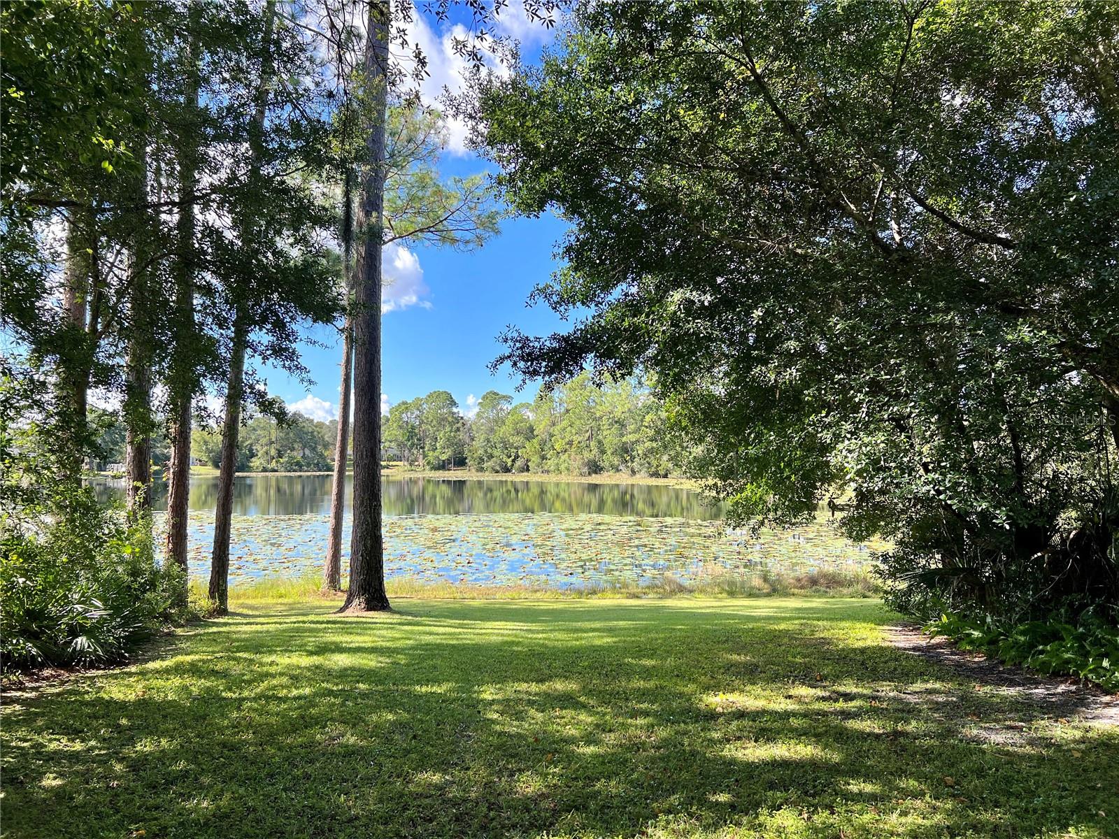 BACKYARD/LAKE
