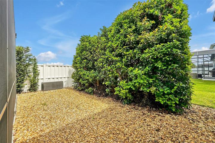Side Yard