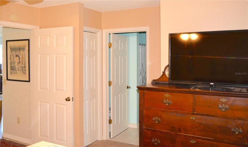 Large Mater Bedroom