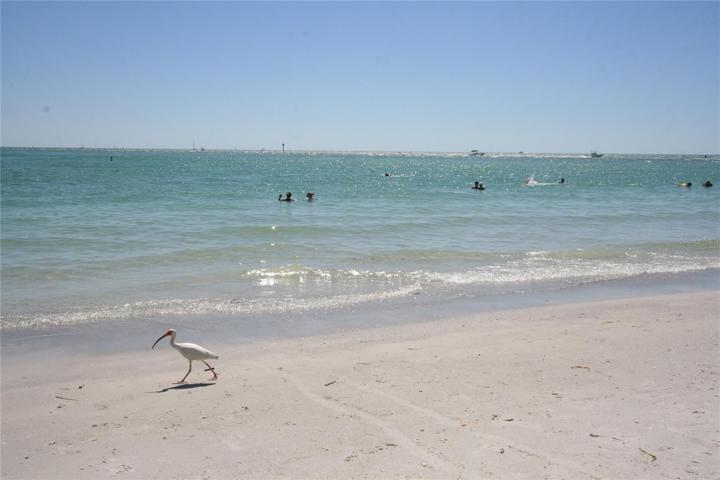 Relax and enjoy!