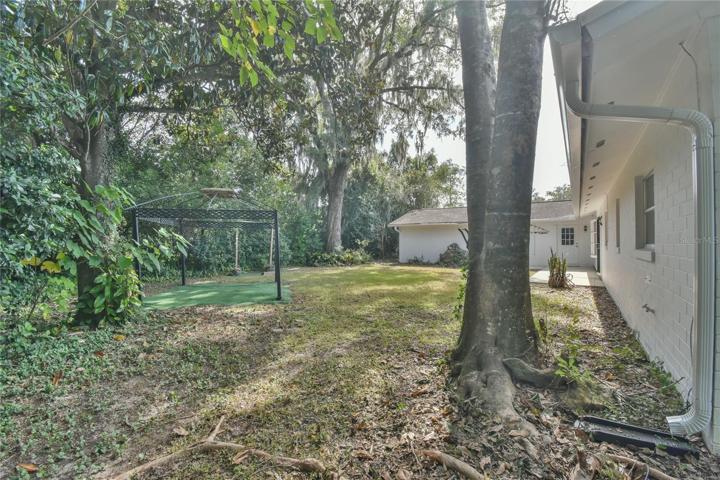 Side view of back yard