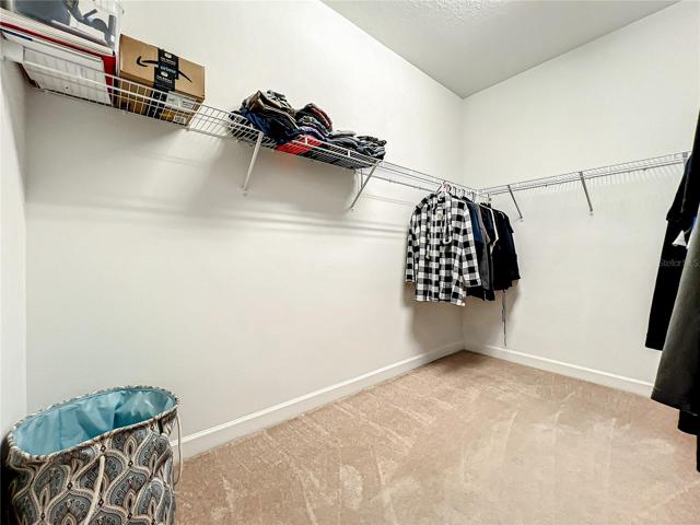 Primary Walk in Closet