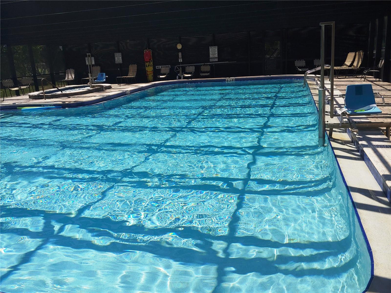 Pool and Spa