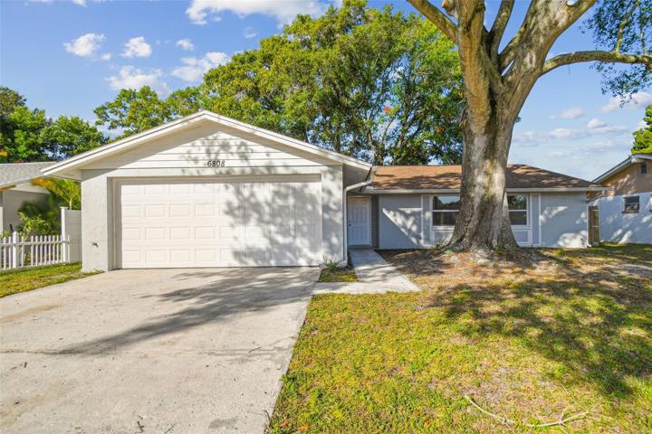 6808 Wayside Ct. Tampa, FL