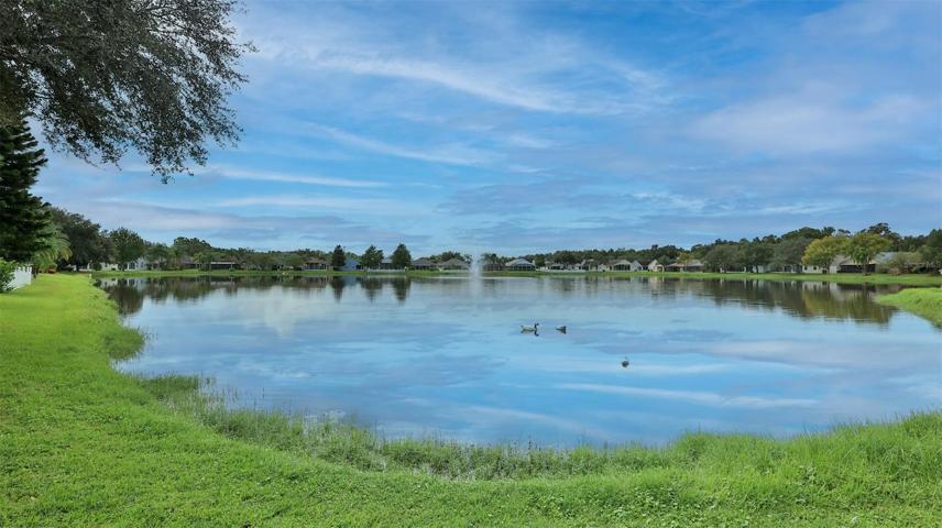 Back Yard Lake View!