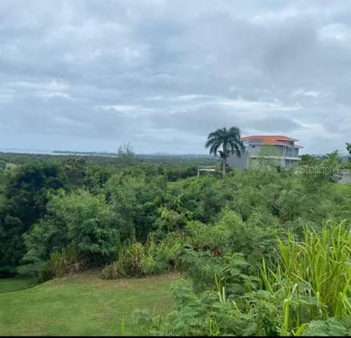 East view