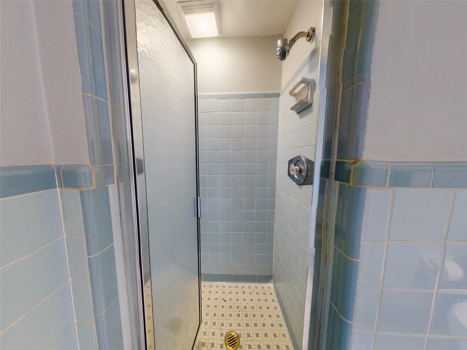 Master Bathroom Shower