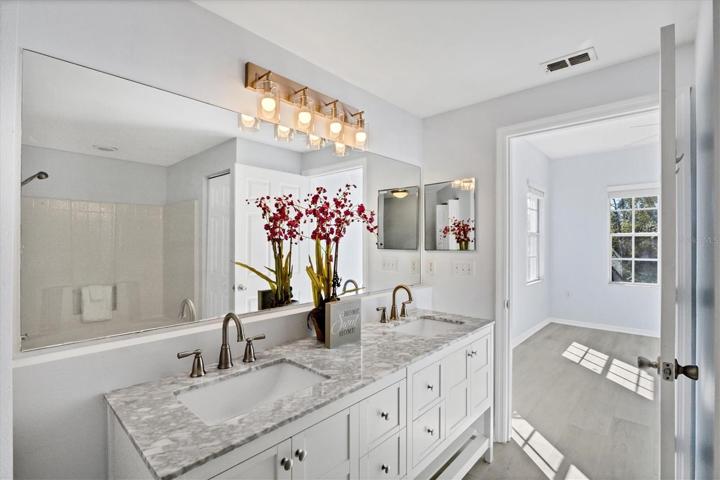MasterBathroom New Dual Sink Vanity
